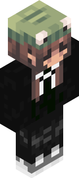 Minecraft-Skin von Hannah_Zuhaus