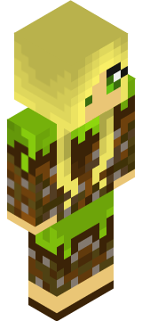 Minecraft-Skin von MisusWorkshop